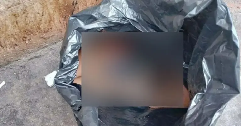 উদ্ধারকৃত মাথার অংশ